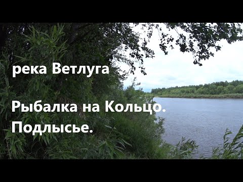 Видео: Рыбалка на кольцо. р.Ветлуга. д.Подлысье.Густера,лещ,сопа.Рыбалка с ночевкой