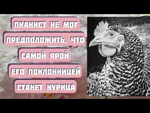 Видео: Легкий рассказ ПОКЛОННИЦА. Автор - Светлана Волкова, читает - Светлана Копылова