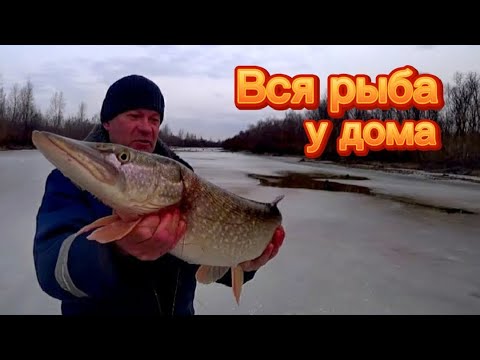Видео: РЫБАЛКА на ПОСЛЕДНЕМ и ОПАСНОМ льду. Но это стоило того! Щука на ЖЕРЛИЦЫ!