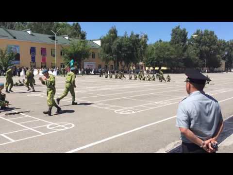 Видео: десантники АВОКУ