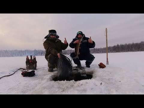 Видео: ПРОВЕРЯЕМ СЕТИ в МОРОЗ на ТАЁЖНОМ ОЗЕРЕ. РЫБАЛКА на СЕВЕРЕ.