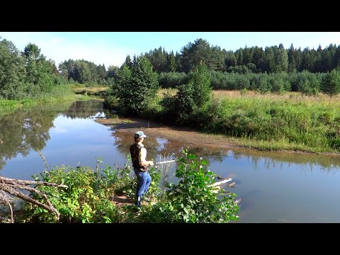 Видео: Рыбалка на реке Ячменка