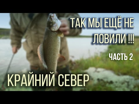 Видео: Супер рыбалка на хариуса ч2