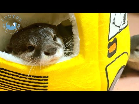 Видео: Актриса Оттер играет три роли сама