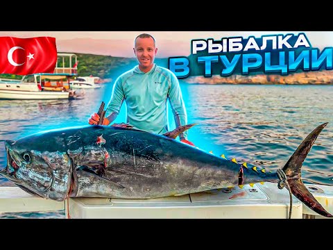 Видео: Голубой Тунец в Турции , Реальность!