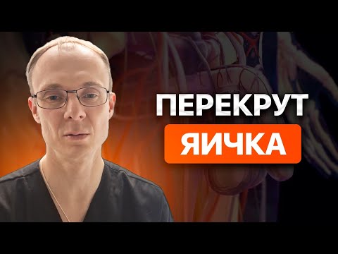 Видео: Перекрут яичка. Врач уролог-андролог. Москва.