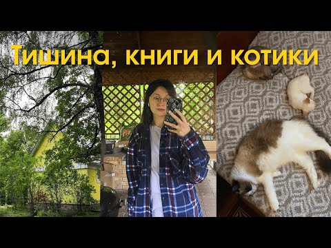 Видео: Отключаю мозг и просто живу 😌