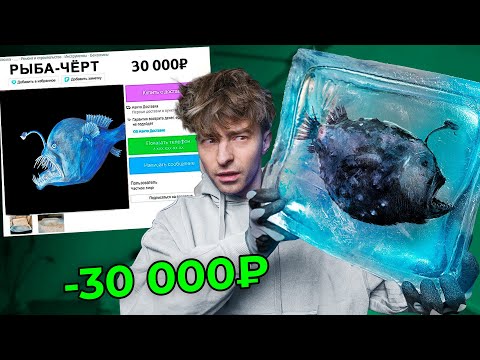 Видео: ПОКУПАЮ СТРАННЫЕ ОБЪЯВЛЕНИЯ НА АВИТО!**РЫБА-ЧЁРТ**