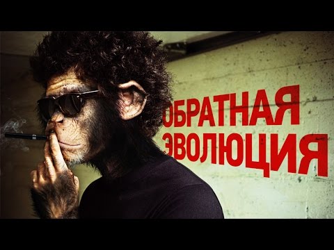 Видео: ПРАВДА ЛИ, ЧТО ЧЕЛОВЕЧЕСТВО ГЛУПЕЕТ? | IQ