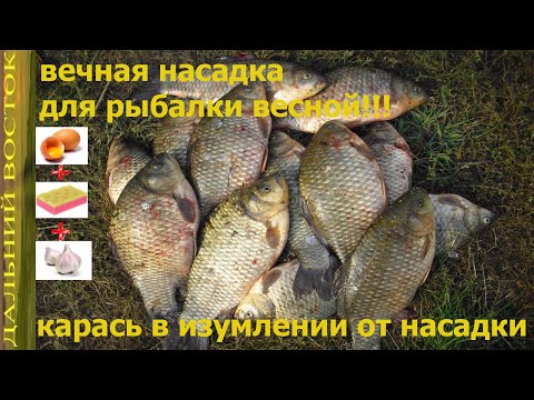 Видео: Вечная насадка!!! Для рыбалки весной и не только.  Карась и сазан в шоке от неё.