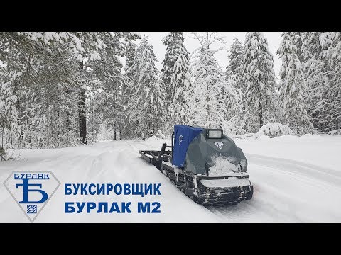 Видео: ЧУТЬ НЕ УГРОБИЛ НОВУЮ МОТОСОБАКУ \ В ТАЙГУ НА ИСПЫТАНИЯ БУКСИРОВЩИКА БУРЛАК М2