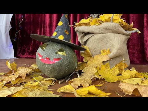 Видео: Власівка новини - ВІП (Власівський Інформаційний Портал) «ЗАЧАРОВАНА ВЕЧІРКА»