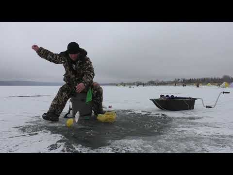 Видео: Зимняя рыбалка Печенеги / 2021 Хотомля