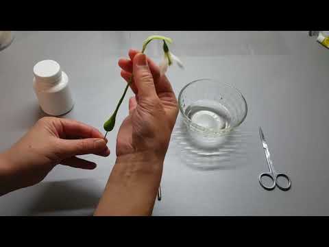 Видео: Мастер класс Подснежник из холодного фарфора. Часть 2