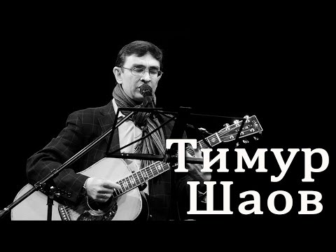 Видео: Тимур Шаов - Кошачий блюз