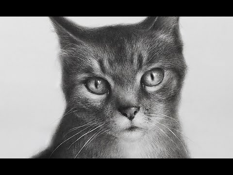 Видео: Техника сухая кисть "Кошка" | художник Чупринов