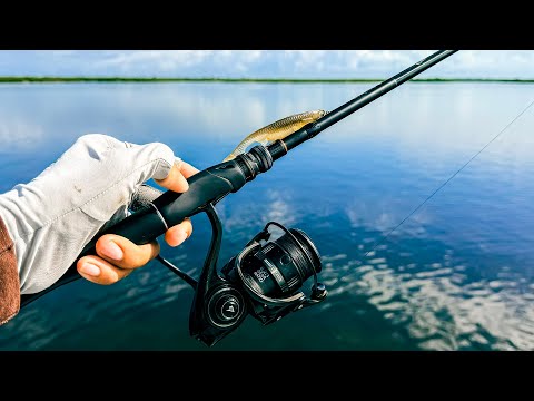 Видео: Первая рыбалка на самых известных отмелях Флориды | Я был в шоке