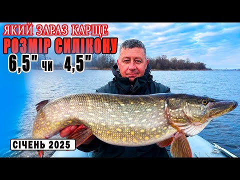Видео: ЦЯ ПРИМАНКА зробила РИБОЛОВЛЮ! РИБАЛКА в січні 2025, СПИНІНГ, ДЖИГ , ЩУКА в зимку