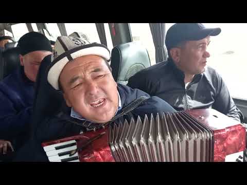 Видео: Өмүрлүк кошуналар менен эс алууга