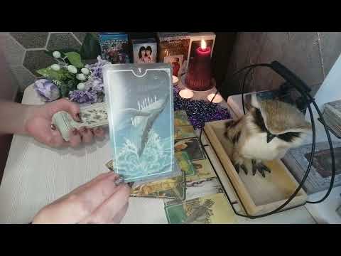 Видео: 💯🤷‍♀️Почему Вы попали именно на это видео🔥. Что Вам немедленно нужно знать о нем💯🤷‍♀️