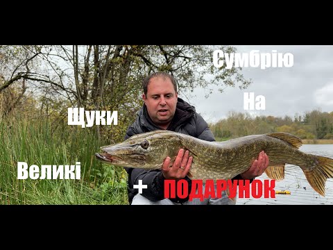 Видео: ЧИМ КОРМИТИ І НА ЩО ЛОВИТИ ВЕЛИКИХ ЩУК!!!