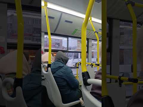 Видео: Нижний Тагил Автобус 77 ВИД из окна /  Алтайка 