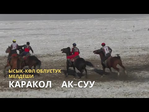 Видео: Ак-Суу & Каракол | Облустук көкбөрү чемпионаты 3