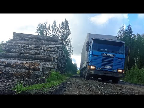 Видео: Scania 113  Едем в тайгу кормить рыбу.