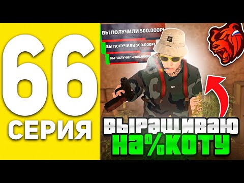 Видео: ПУТЬ БОМЖА НА БЛЕК РАША #66 - НЕЛЕГАЛЬНО ЗАРАБАТЫВАЮ БАБКИ ВЫРАЩИВАЯ ЛЕКАРСТВО В BLACK RUSSIA