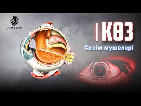 Видео: Сезім мүшелері  Көз