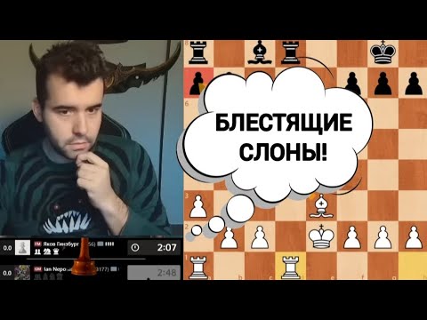 Видео: БЛЕСТЯЩИЕ СЛОНЫ!!! ЯН НЕПОМНЯЩИЙ 