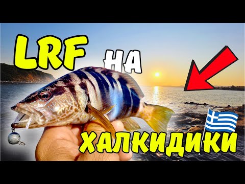 Видео: ПЪРВИ СПИНИНГ В ГЪРЦИЯ!!! РИБОЛОВ НА СИЛИКОНОВИ ПРИМАМКИ. LIGHT ROCK FISHING!!