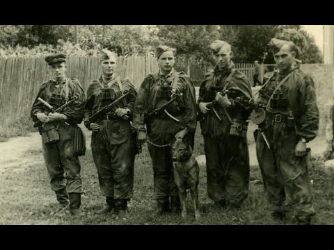 Видео: Спецгруппу НКВД ликвидировали сразу Выжил один С чем ему возвращаться если его считают предателем ?