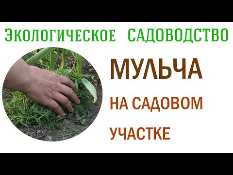 Видео: Мульча на садовом участке. Видеолекция