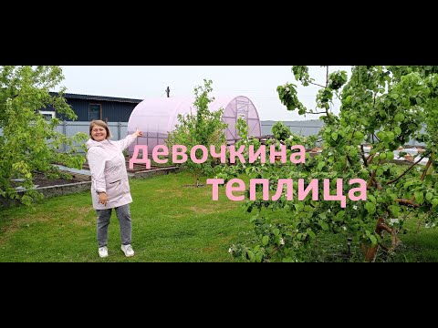 Видео: Наша дача. Девочкина теплица. 25 Мая.