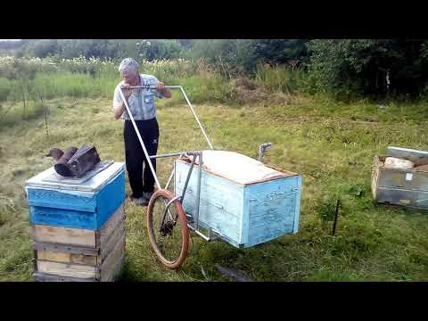 Видео: Тележка-подъемник для лежаков