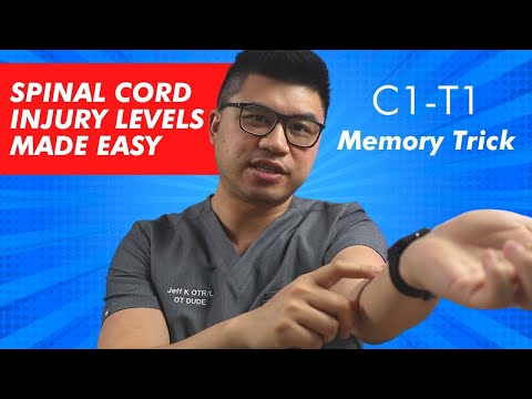 Видео: Травмы спинного мозга (ТСМ) на уровнях C1-T1: просто | OT DUDE: трудотерапия