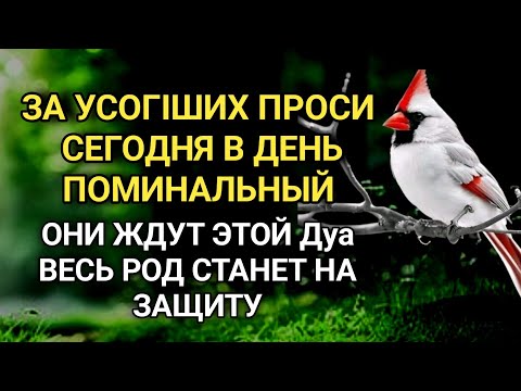 Видео: УСОПШИЕ Ждут Эту дуа! Станут на Вашу Защиту!Поминальная дуа за упокой усопших