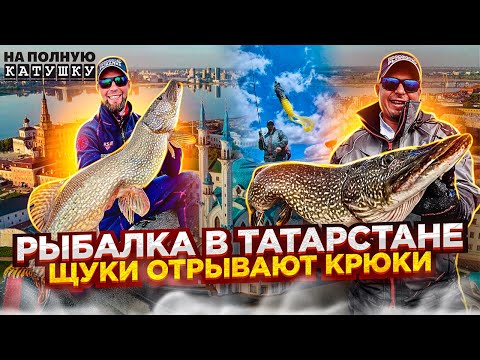 Видео: Подготовка к PALу / МЫШИ, БУЛЬДОГИ и РЫБАЛКА в ТАТАРСТАНЕ / ФИЛИН против ДЕЕВа НА ПОЛНУЮ КАТУШКУ