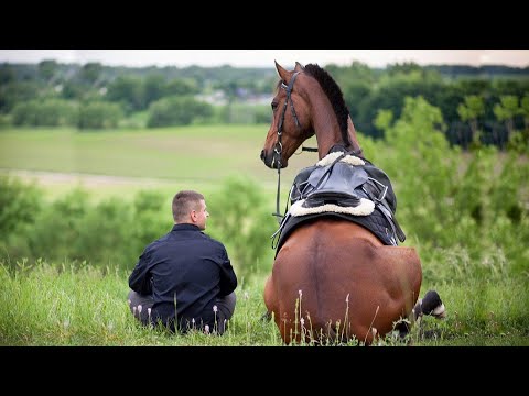 Видео: Лошади шутят над людьми. Самые смешные моменты с Лошадьми.
