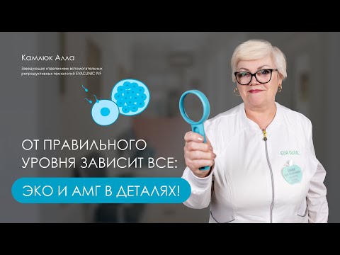 Видео: Все, что вы должны знать об антимюллеровом гормоне (АМГ)