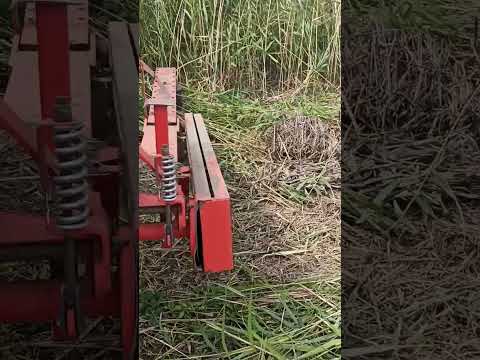 Видео: делаю место под сенокос.