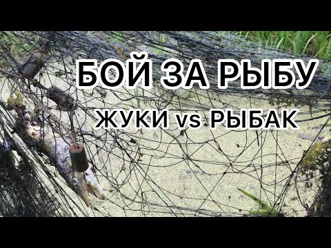 Видео: ИЩУ РЫБНЫЕ ОЗЁРА!ПРОВАЛИЛСЯ БОБРОВУЮ НОРУ!