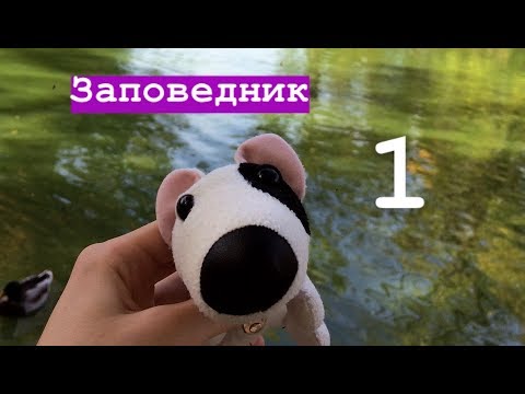 Видео: VLOG: заповедник Аскания Нова