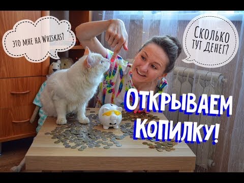 Видео: Открываем Копилку, СКОЛЬКО в ней ДЕНЕГ!?