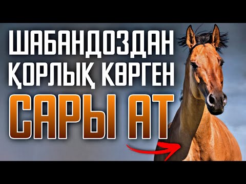 Видео: САРЫ АТТЫҢ ХИКАЯСЫ❗🐎