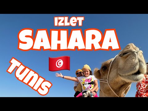 Видео: Экскурсия Сахара Тунис