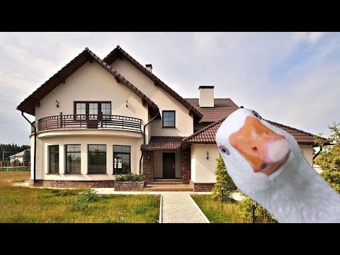 Видео: ЗИЛ 600 сил, домик для гуся, отдал миллион победителю гива.