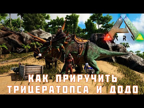 Видео: 🦕 ARK: SURVIVAL EVOLVED КАК ПРИРУЧИТЬ ТРИЦЕРАТОПСА и ДОДО [прохождение] #5