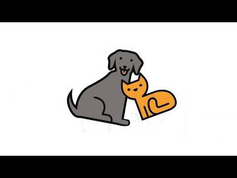 Видео: Лекции о болезнях домашних животных. Респираторные инфекции кошек. Кальцивироз, герпесвирус и  др.